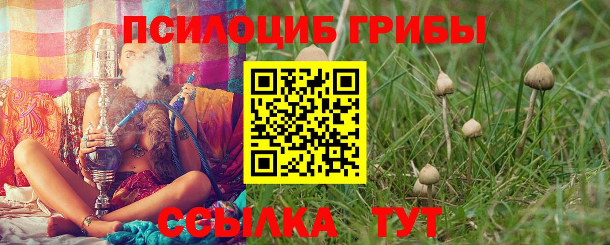 Галлюциногенные грибы мицелий  Вход с VPN  Всеволожск 